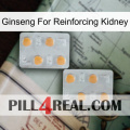 Ginseng For Reinforcing Kidney 25